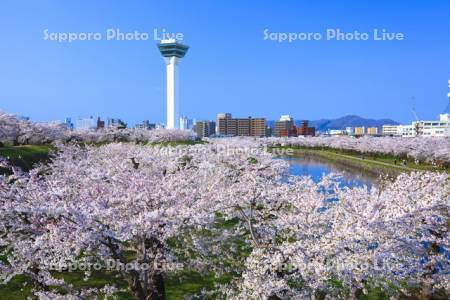 五稜郭公園