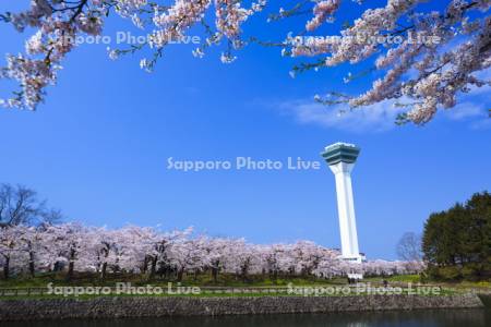 五稜郭公園