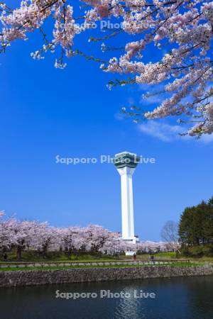 五稜郭公園