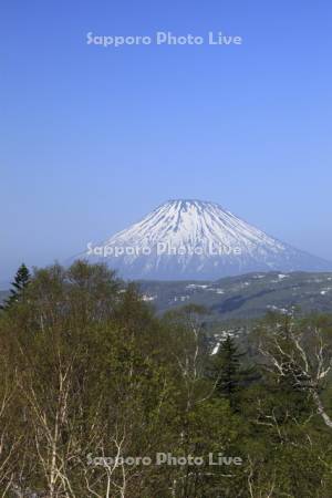 中山峠