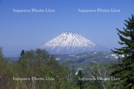 中山峠