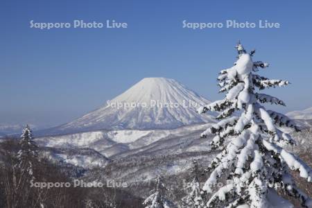 中山峠から見た羊蹄山