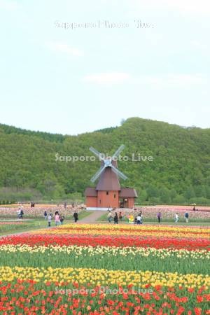 チューリップ公園