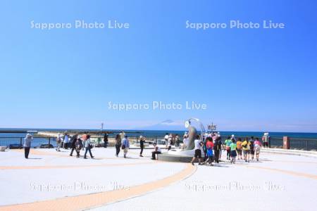 ノシャップ岬と利尻島