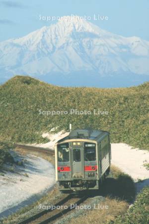 普通列車と利尻島