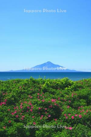 サロベツ海岸