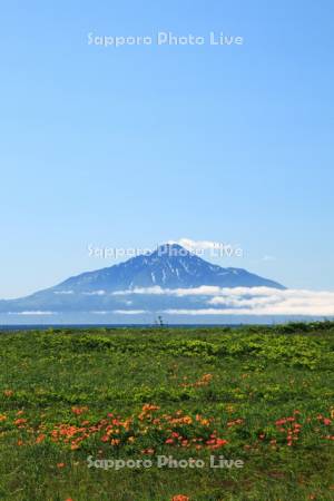 サロベツ海岸