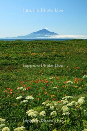 サロベツ海岸