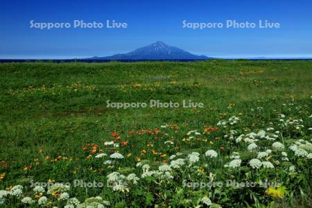 サロベツ海岸