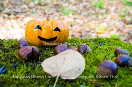 ハロウィンイメージ