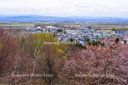 円山展望台より市街展望