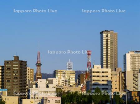 朝の街並み　テレビ塔