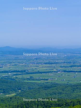 かもい岳より滝川市街　石狩平野