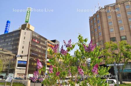 札幌駅南口　2012年　H24