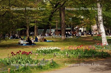 円山公園