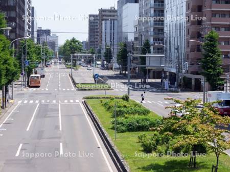 大通東１～バスセンター前駅
