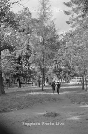 昭和34年　旭川常盤公園