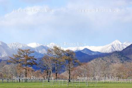 放牧場と残雪の日高連山