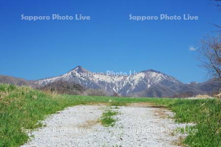 行き止まりの道に日高の山