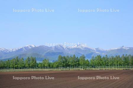 残雪の日高の山と十勝平野