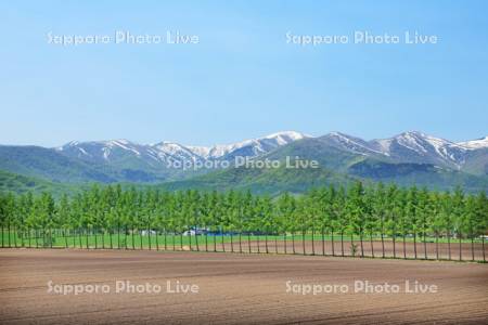 残雪の日高の山と十勝平野