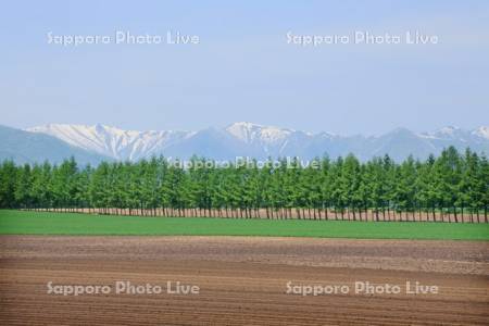残雪の日高の山と十勝平野