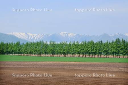 残雪の日高の山と十勝平野