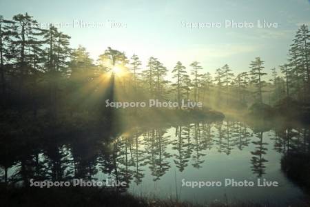 浮島湿原の小沼に光芒