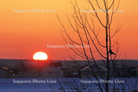 釧路川沿いから日の出