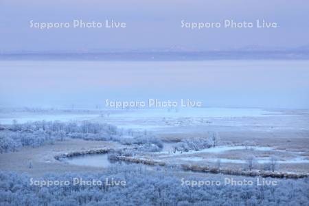 釧路湿原の樹霜と朝霧
