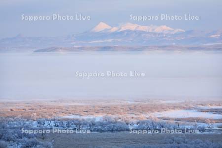釧路湿原樹霜と朝霧と雌阿寒岳
