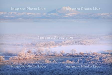 釧路湿原樹霜と朝霧と雄阿寒岳
