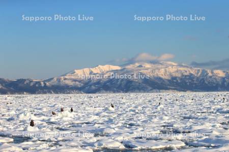 流氷の海と羅臼岳