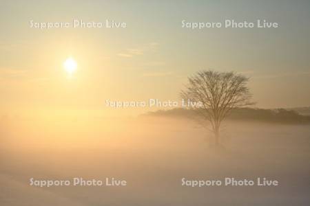 釧路川堤防の日の出