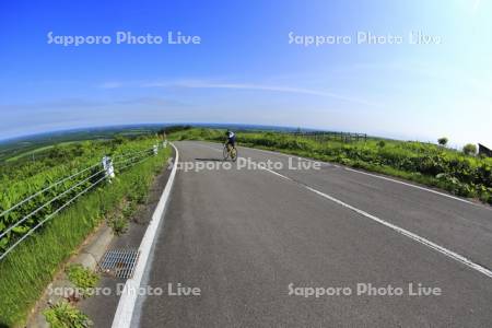 道路と自転車