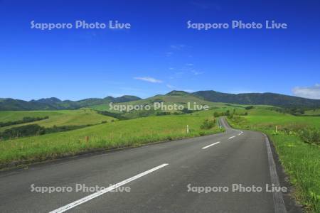 ナイタイ高原牧場