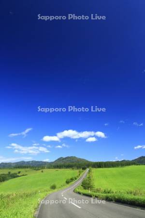 ナイタイ高原牧場