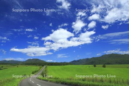 ナイタイ高原牧場