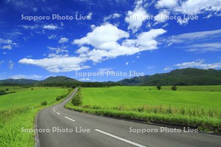 ナイタイ高原牧場