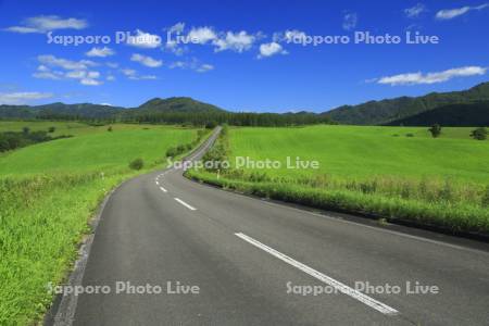 ナイタイ高原牧場