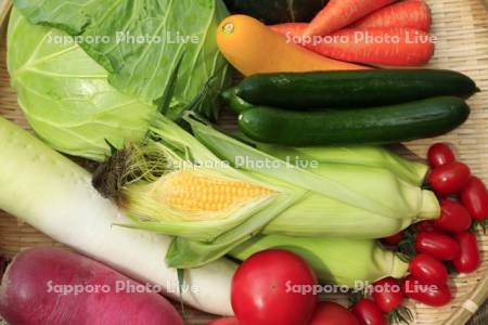 野菜盛り合わせ　芽室産