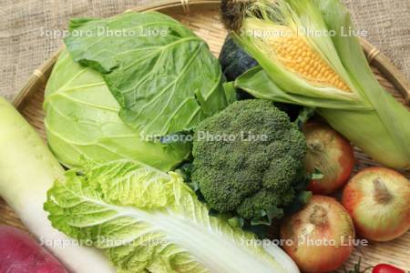 野菜盛り合わせ　芽室産