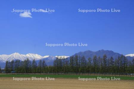 畑と青空　日高山脈