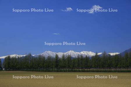 畑と青空　日高山脈