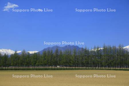 畑と青空　日高山脈