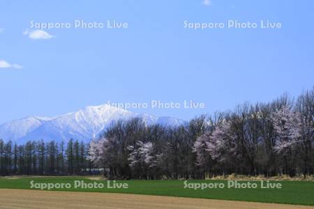 畑と青空　日高山脈