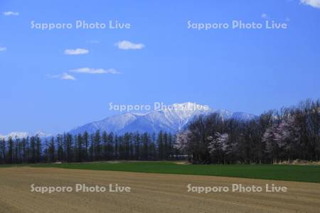 畑と青空　日高山脈