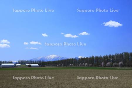 畑と青空　日高山脈