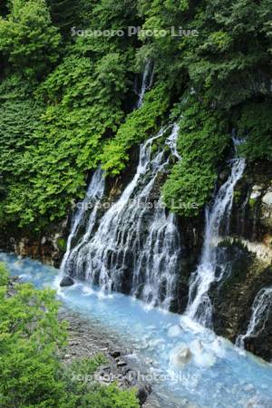 白ひげの滝