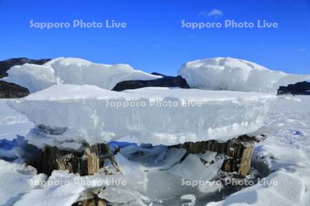 糠平湖のキノコ氷